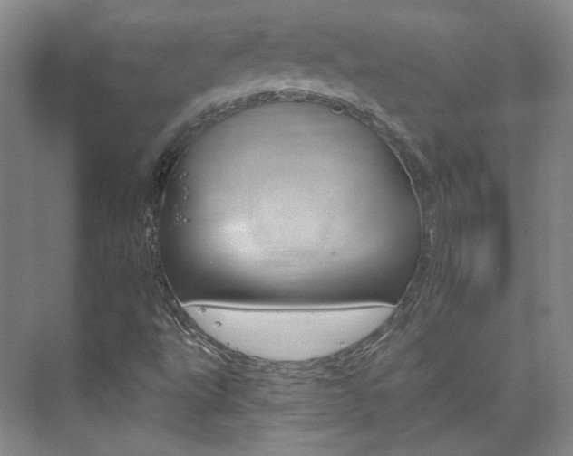 X0000073741495200608031056