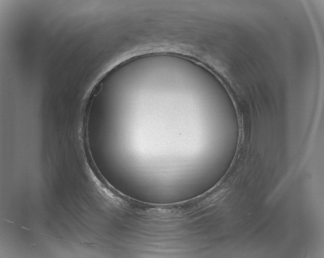 X0000073741500200608031056