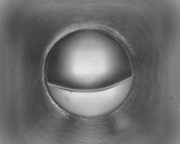 X0000073741512200608031056
