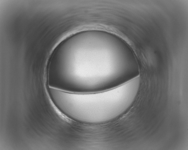 X0000073741523200608031056