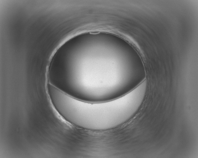 X0000073741528200608031056