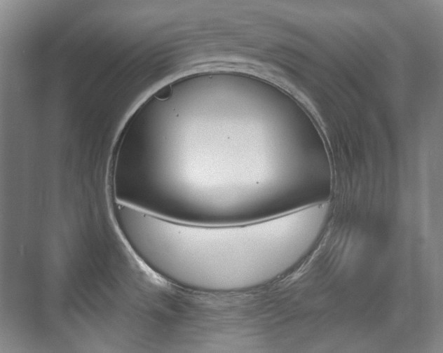 X0000073741533200608031056