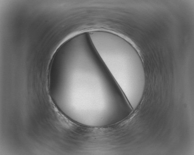 X0000073741534200608031056