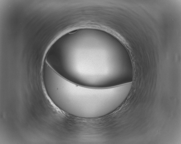 X0000073741536200608031056