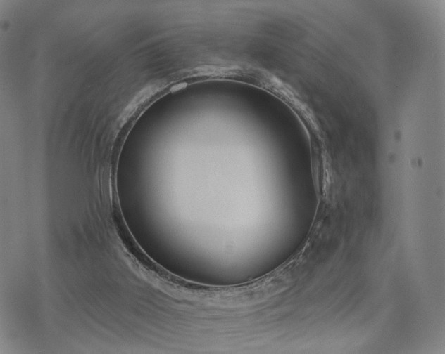 X0000073740011200608031415