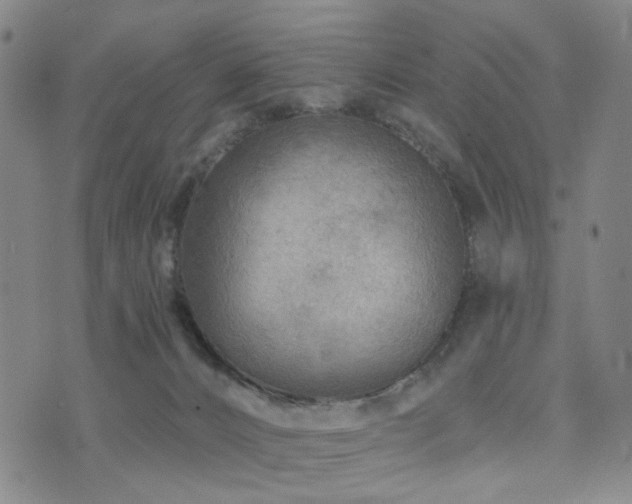 X0000073740032200608031415