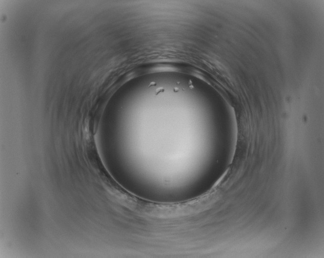 X0000073740037200608031415