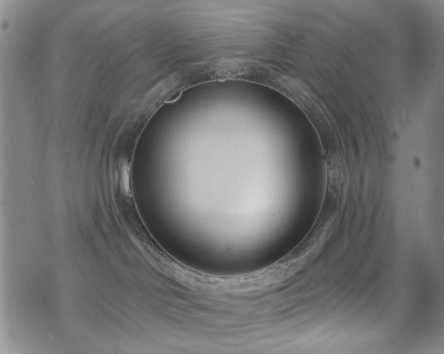 X0000073740046200608031415