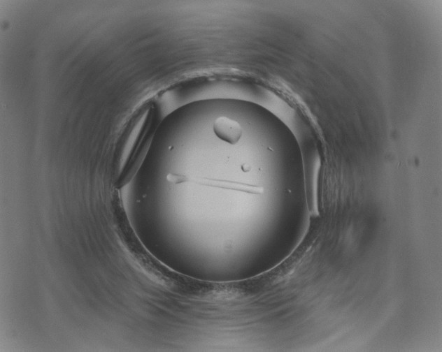 X0000073740063200608031414
