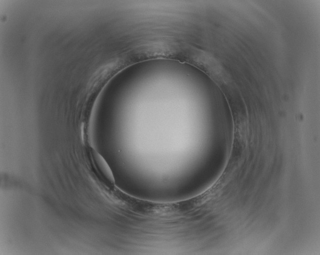 X0000073740070200608031414