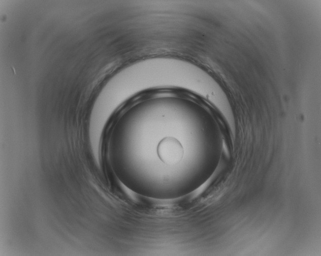 X0000073740072200608031414