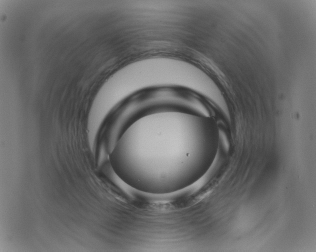 X0000073740073200608031414