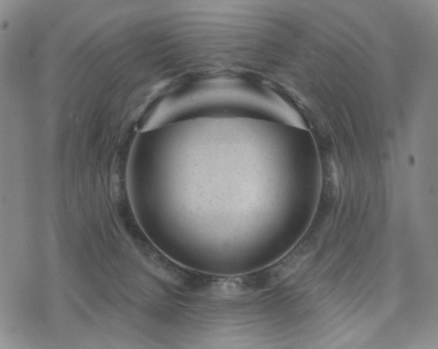 X0000073740080200608031415