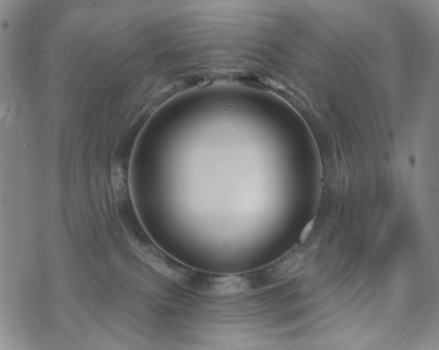 X0000073740087200608031415