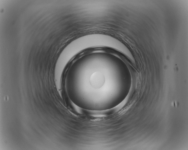 X0000073740096200608031415