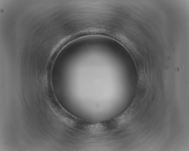 X0000073740112200608031414