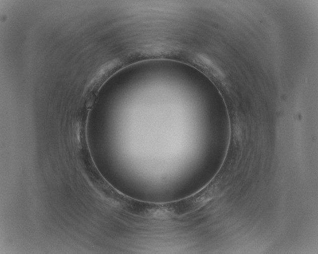 X0000073740115200608031414