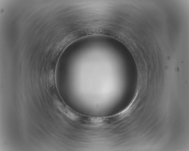 X0000073740144200608031413