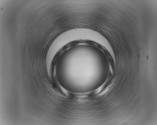X0000073740188200608031413