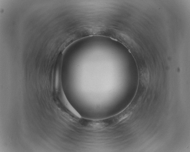 X0000073740221200608031412
