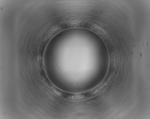 X0000073740225200608031412