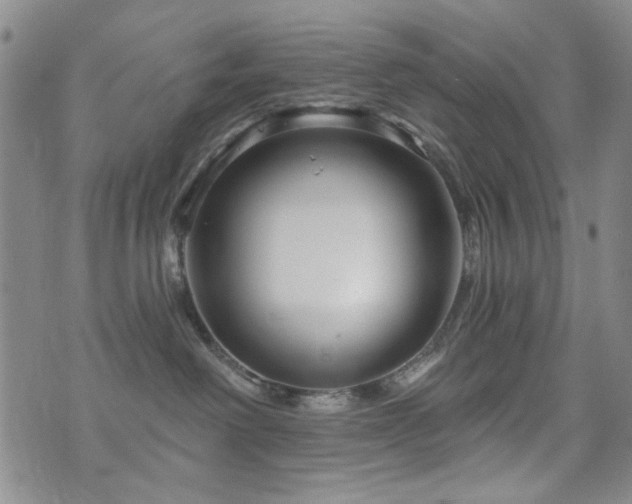 X0000073740238200608031412