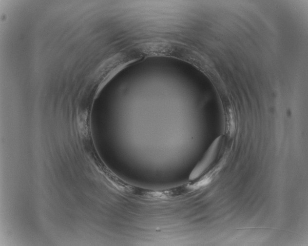 X0000073740239200608031412