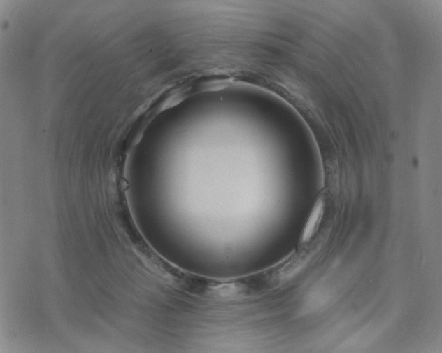 X0000073740269200608031411