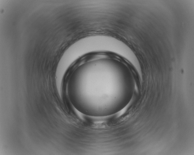 X0000073740272200608031411