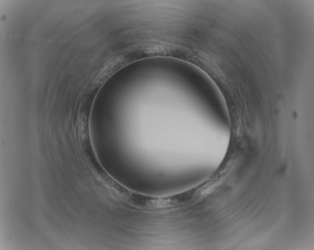X0000073740273200608031411