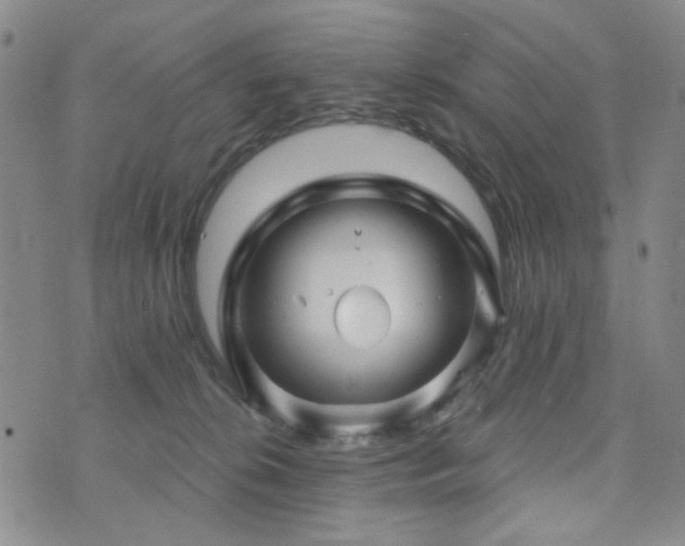 X0000073740276200608031411