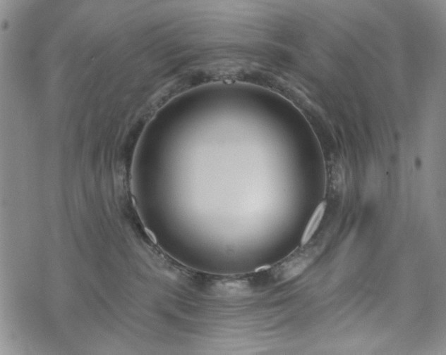X0000073740283200608031412