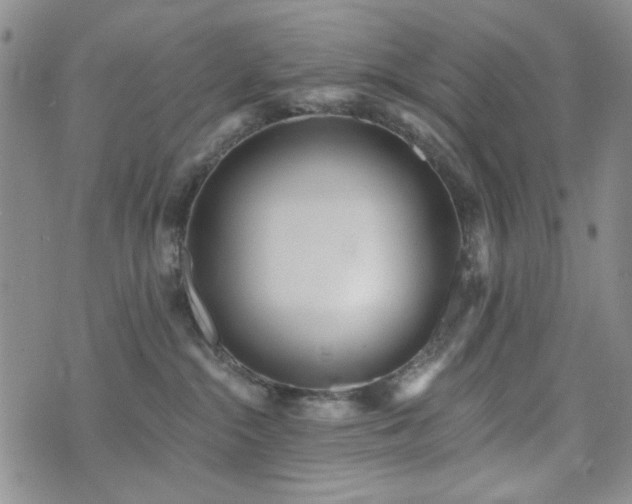 X0000073740284200608031412