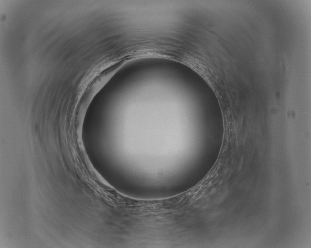X0000073740289200608031411
