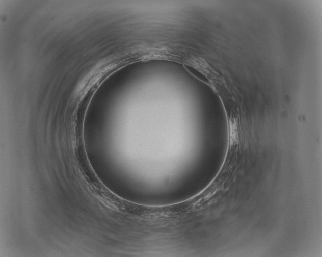 X0000073740291200608031411