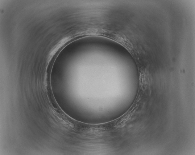 X0000073740292200608031411