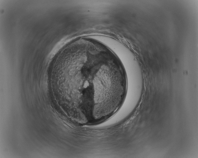 X0000073740295200608031411
