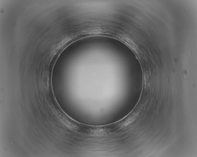 X0000073740301200608031411