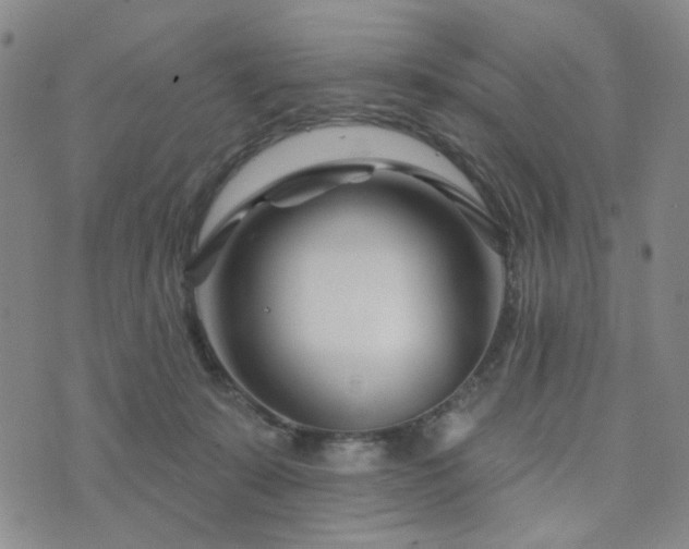 X0000073740319200608031410