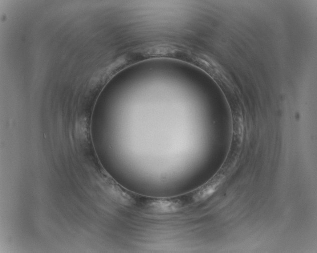X0000073740326200608031410