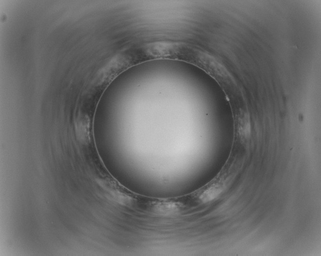 X0000073740332200608031410
