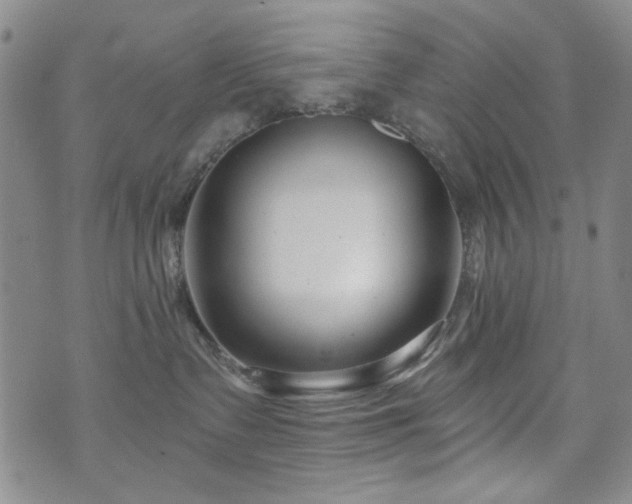 X0000073740335200608031410