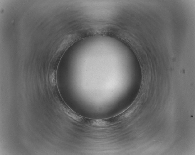 X0000073740336200608031410