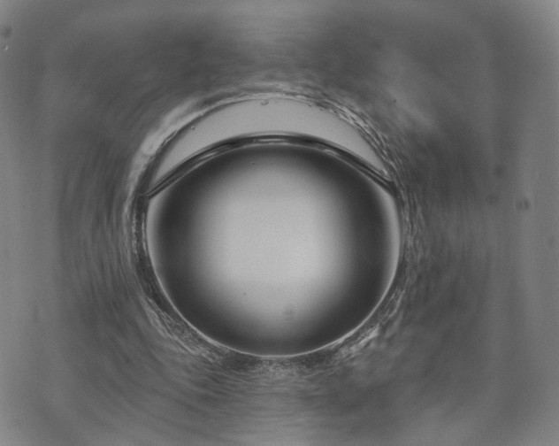 X0000073740343200608031409