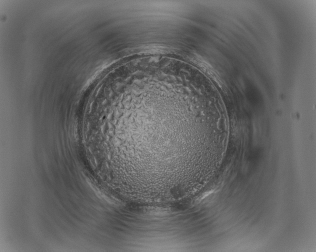 X0000073740347200608031410