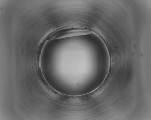 X0000073740349200608031410