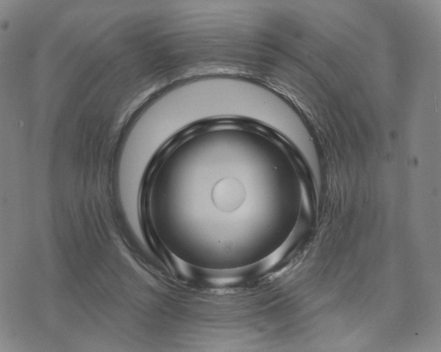 X0000073740352200608031410