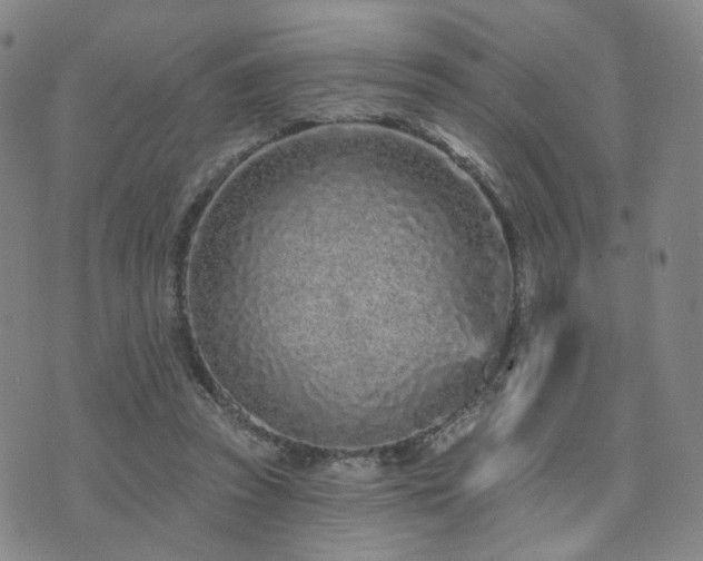 X0000073740353200608031410