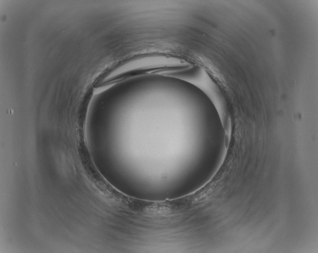 X0000073740354200608031410