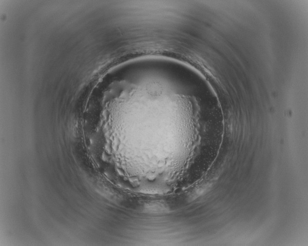 X0000073740355200608031410